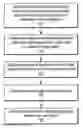Fig. 01 - Displaying a long sequence of images in a short amount of time