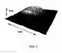 Fig. 04 - Near infrared twin photon source