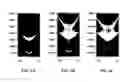 Fig. 05 - Near infrared twin photon source