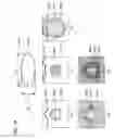 Fig. 15 - Observing tool and observing method using the same