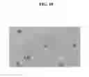Fig. 19 - Observing tool and observing method using the same