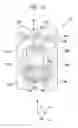 Fig. 14 - Microscope examination apparatus