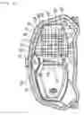 Fig. 13 - Lamp and motorcycle provided with the lamp