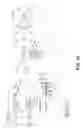 Fig. 19 - Memory having a layer with electrical conductivity anisotropy