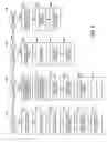 Fig. 09 - Network connectivity determination