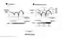 Fig. 03 - Signaling Requirements to Support Interference Coordination in OFDMA Based Systems