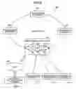 Fig. 08 - Transmission device serially resetting each circuit included therein