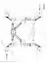 Fig. 07 - Root node redundancy for multipoint-to-multipoint transport trees