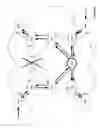 Fig. 08 - Root node redundancy for multipoint-to-multipoint transport trees