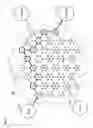 Fig. 08 - Coding and packet distribution for alternative network paths in telecommunications networks