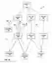 Fig. 05 - Forming multicast distribution structures using exchanged multicast optimization data