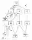 Fig. 02 - Forming equal cost multipath multicast distribution structures