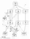 Fig. 03 - Forming equal cost multipath multicast distribution structures