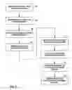 Fig. 08 - Forming equal cost multipath multicast distribution structures