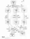 Fig. 12 - Forming equal cost multipath multicast distribution structures