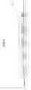 Fig. 05 - Entropy encoding/decoding method and apparatus