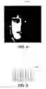 Fig. 05 - System and method to automatically establish preferred area for image-wise watermark