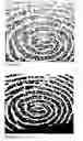 Fig. 06 - Fingerprint Recognition System Having Detecting Pore and Method Thereof