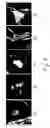 Fig. 04 - Method and apparatus for setting a detection threshold in processing medical images