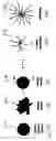 Fig. 07 - Method and apparatus for setting a detection threshold in processing medical images