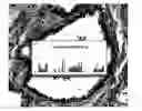 Fig. 01 - Diagnostic scanning microscope for information-enriched qualitative histopathology