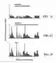 Fig. 17 - Diagnostic scanning microscope for information-enriched qualitative histopathology