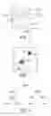 Fig. 03 - Automated activity detection using supervised learning