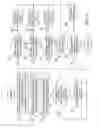 Fig. 09 - Method and recording format for image compression