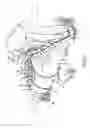 Fig. 03 - Foot restrained closure for material container system