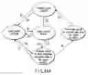 Fig. 75 - INFORMATION REPRODUCING SYSTEM USING INFORMATION STORAGE MEDIUM