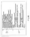 Fig. 30 - INFORMATION REPRODUCING SYSTEM USING INFORMATION STORAGE MEDIUM
