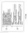 Fig. 30 - INFORMATION REPRODUCING SYSTEM USING INFORMATION STORAGE MEDIUM
