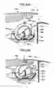 Fig. 13 - Developer container, developer supplying device, and image forming apparatus