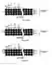 Fig. 20 - Image forming apparatus that prevents conspicuous unevenness in image density