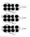 Fig. 21 - Image forming apparatus that prevents conspicuous unevenness in image density