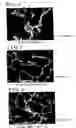 Fig. 05 - MAGNESIUM ALLOY AND CASTING