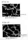 Fig. 07 - MAGNESIUM ALLOY AND CASTING