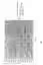 Fig. 06 - Method for performing fed-batch operations in small volume reactors