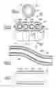 Fig. 03 - Exhaust Line And Power Train Comprising Same