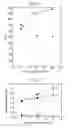 Fig. 03 - Transparent ferromagnetic compound containing no magnetic impurity such as transition metal or rare earth metal and forming solid solution with element having imperfect shell, and method for adjusting ferromagnetic characteristics thereof
