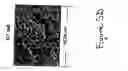 Fig. 09 - System and method for cytological analysis by raman spectroscopic imaging
