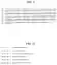 Fig. 12 - Herpes simplex virus vector