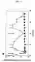 Fig. 13 - Herpes simplex virus vector