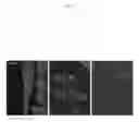 Fig. 03 - Side population cells in cardiac repair