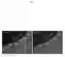 Fig. 05 - Side population cells in cardiac repair