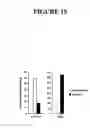 Fig. 18 - Porous membrane device that promotes the differentiation of monocytes into dendritic cells