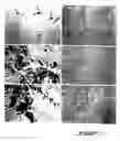 Fig. 02 - Method for in vitro preconditioning of myoblasts before transplantation