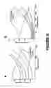 Fig. 15 - Continuous flow chamber device for separation, concentration, and/or purfication of cells