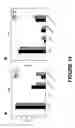 Fig. 20 - Continuous flow chamber device for separation, concentration, and/or purfication of cells