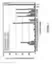 Fig. 06 - BoNT/A peptides and methods of predicting and reducing immunoresistance to botulinum toxin therapy